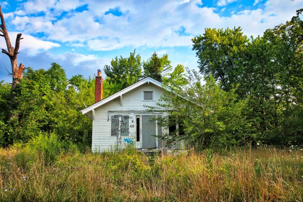 cabin in forest