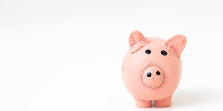 pink pig figurine on white surface