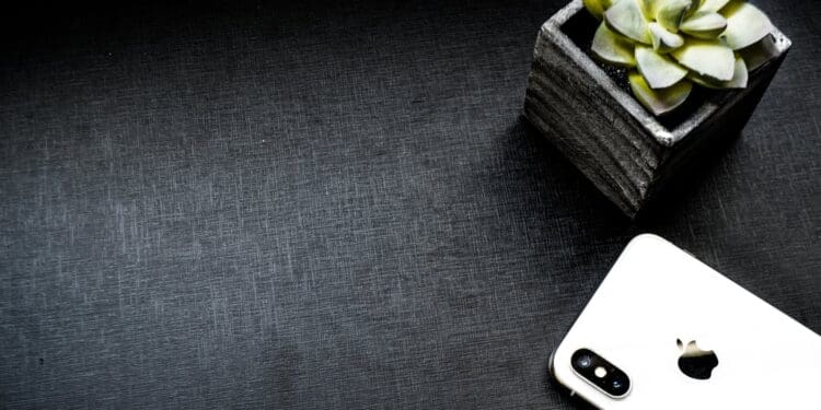 silver iphone x beside succulent plant