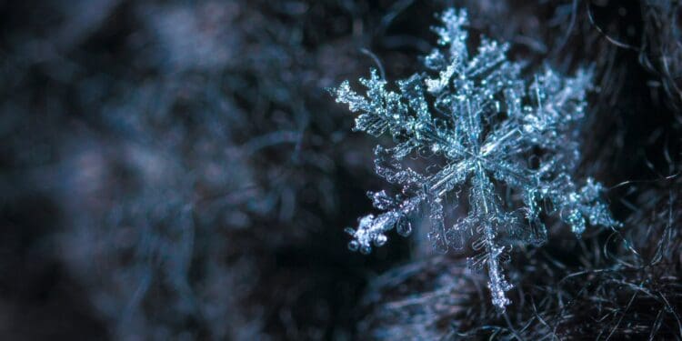 close up photography of snowflake