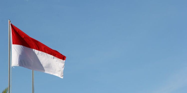 red and white flag under blue sky during daytime