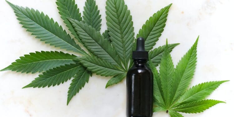 green cannabis leaves and black glass drops bottle