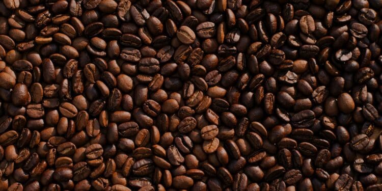 coffee bean lot