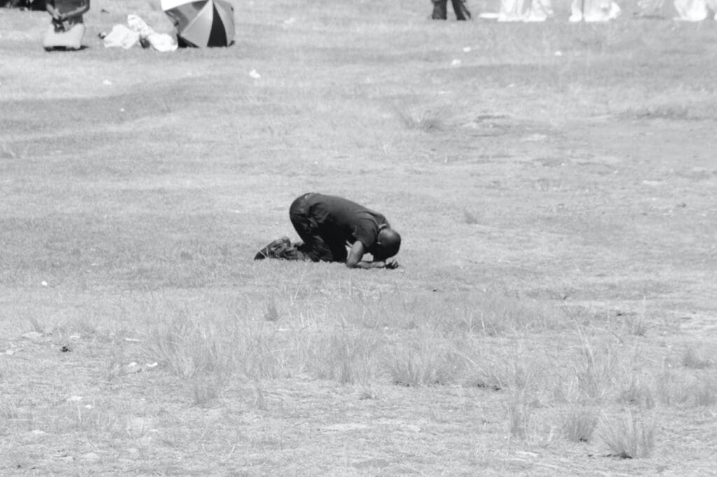 black animal on brown grass field
