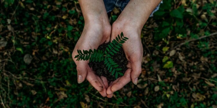 green plant