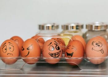 orange and white egg on stainless steel rack