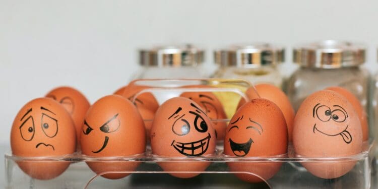 orange and white egg on stainless steel rack