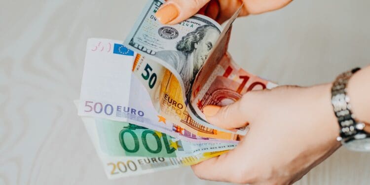 person holding 100 euro bill