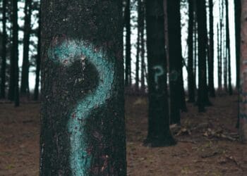 forest trees marked with question marks