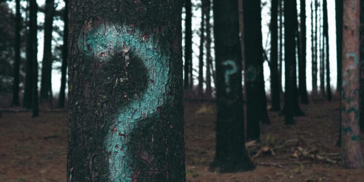 forest trees marked with question marks