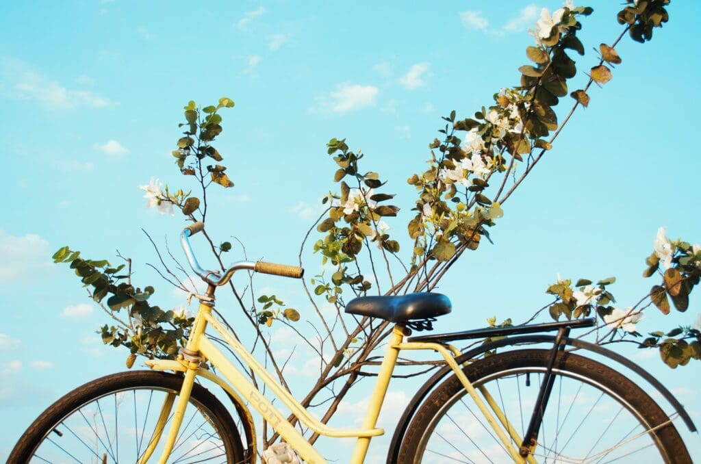 shallow focus photo of yellow city bike