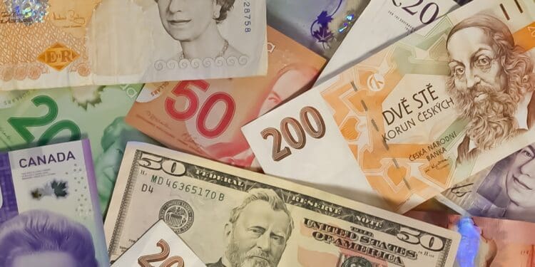 10 and 20 us dollar bill