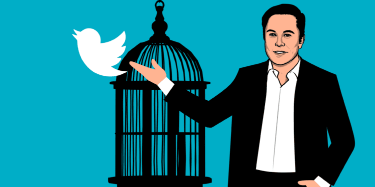 elon musk, twitter, owner