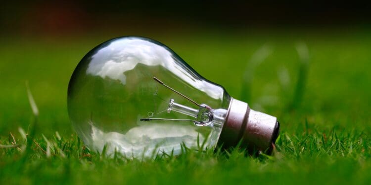 Light bulb on green grass