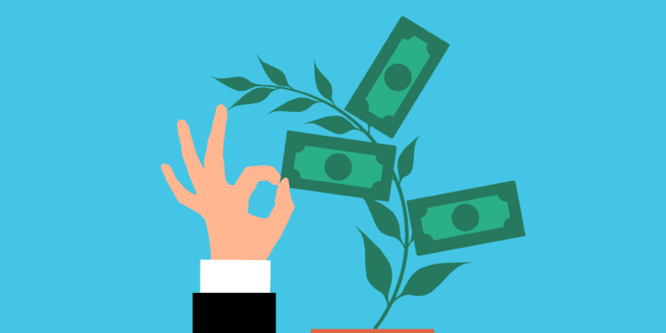 money, plant, investment