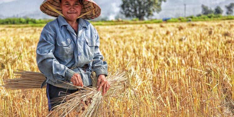 Woman picking plant on field