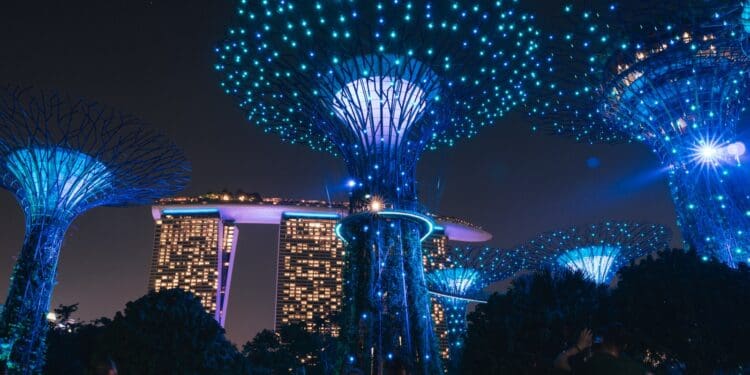 people standing near blue lighted christmas tree during nighttime