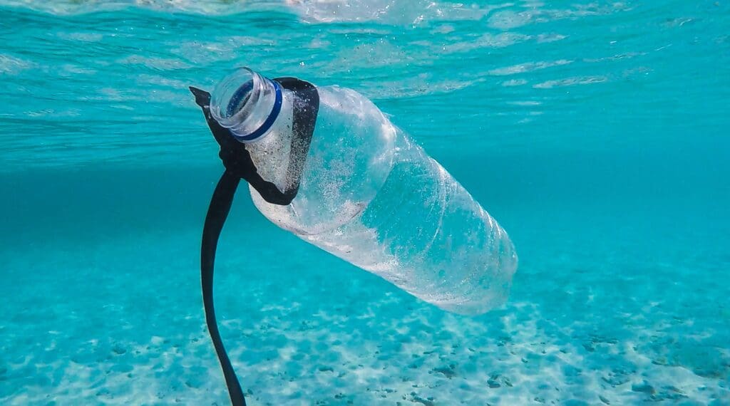 A single-use plastic water bottle that I found while snorkeling in The Gili Islands, Indonesia. Use less plastic when you travel, it makes a real difference! Follow on Instagram @wildlife_by_yuri, and find more free plastic pollution photos at: https://www.wildlifebyyuri.com/free-ocean-photography
