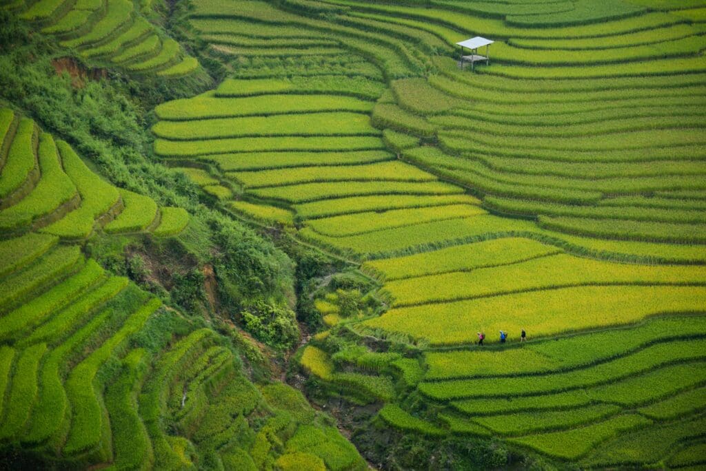 aerial photography of green mountain