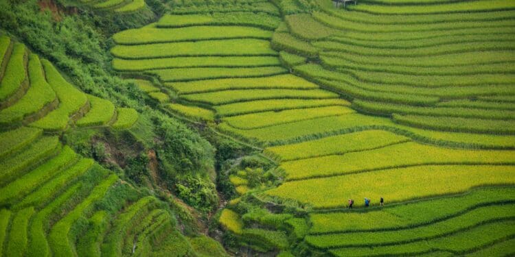 aerial photography of green mountain