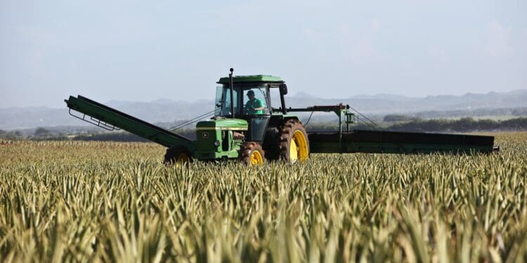 person riding tractor