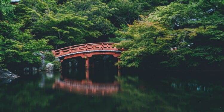 red bridge near trees