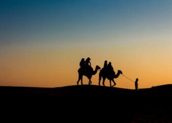 silhouette of people riding camels