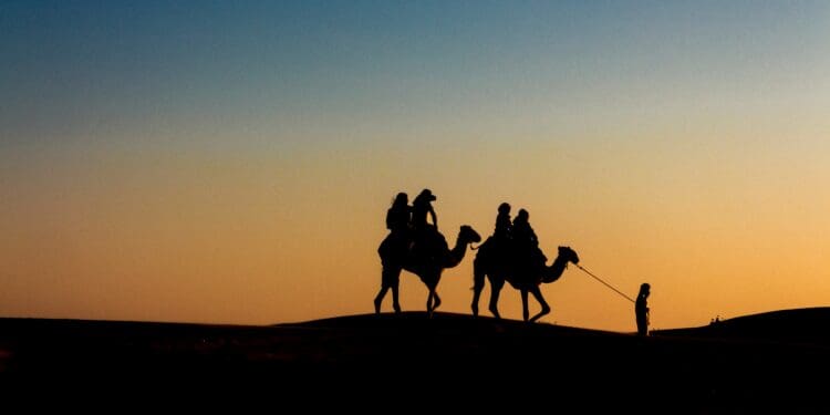 silhouette of people riding camels