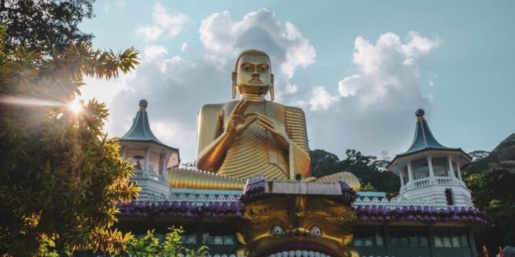 Sunset on gold buddha #wallpaper #wallpapers #srilanka #buddha #background #sky #temple #history #srilanka #tree #ray #cloud