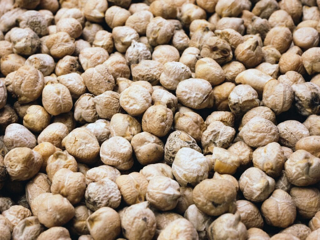 Closeup of dry chickpeas as background