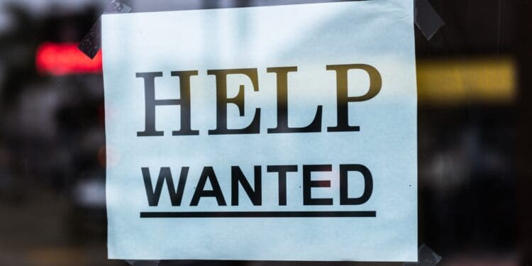 Help Wanted | Follow on Instagram: @timmossholder