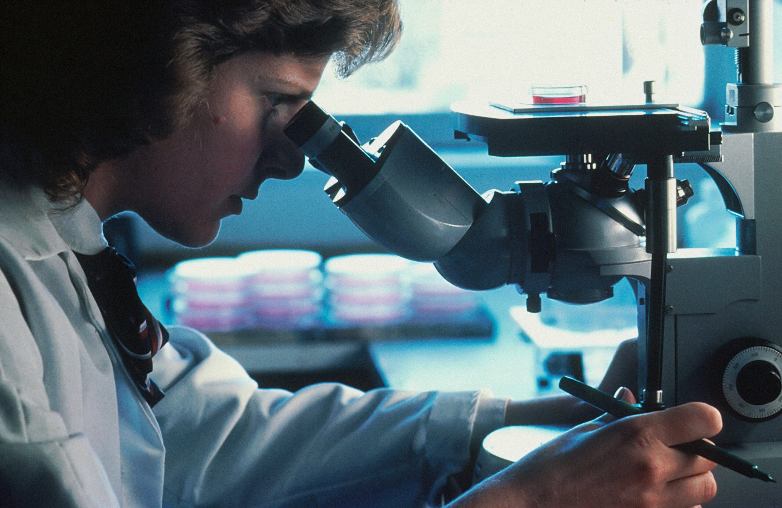 Profile shot of a Caucasian female scientist looking through an inverted microscope at cells that have been grown in culture media.