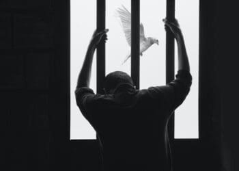 A Man in Prison and Bird Flying Freely