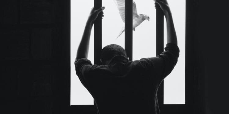A Man in Prison and Bird Flying Freely