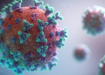 New visualisation of the Covid-19 virus