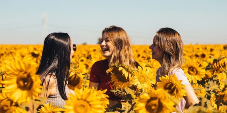 3 women in yellow sunflower field during daytime