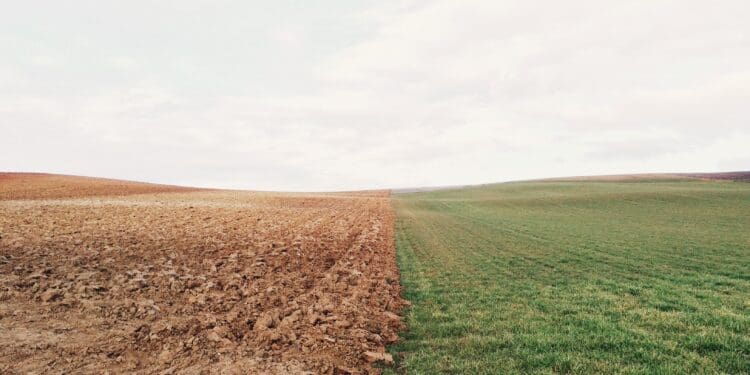 Brown and green fields