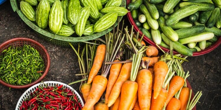 bundle of assorted vegetable lot