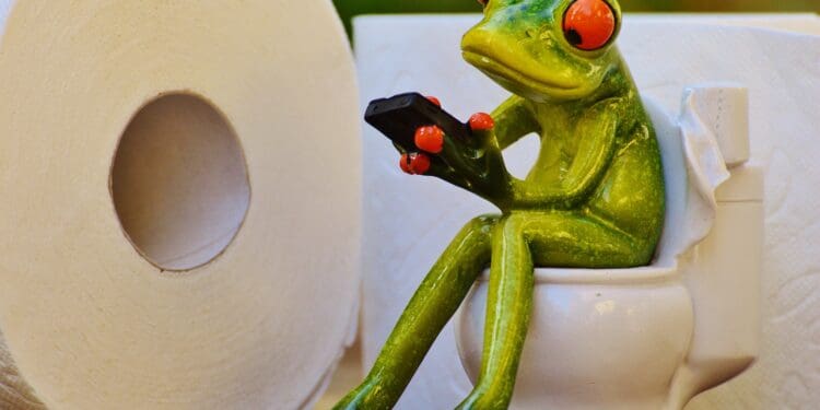 frog, toilet, loo