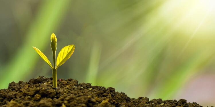 investment, concept, business