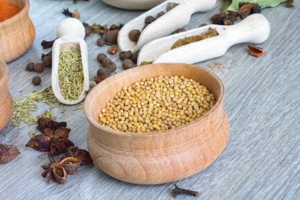 spices, spice, seeds