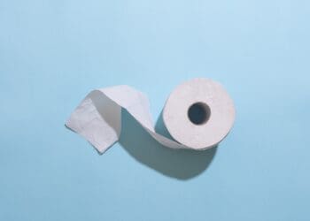 Toilet Paper Loo Roll Tissue Bathroom