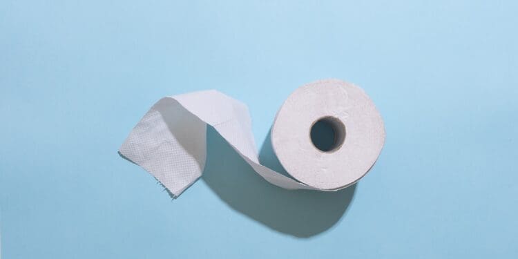 Toilet Paper Loo Roll Tissue Bathroom