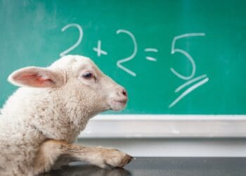 white sheep on white surface