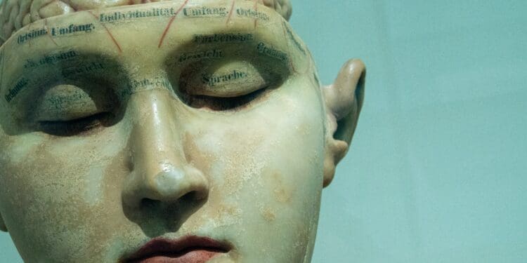 Brain model early 20th century.