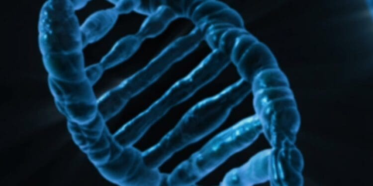 dna, biology, medicine