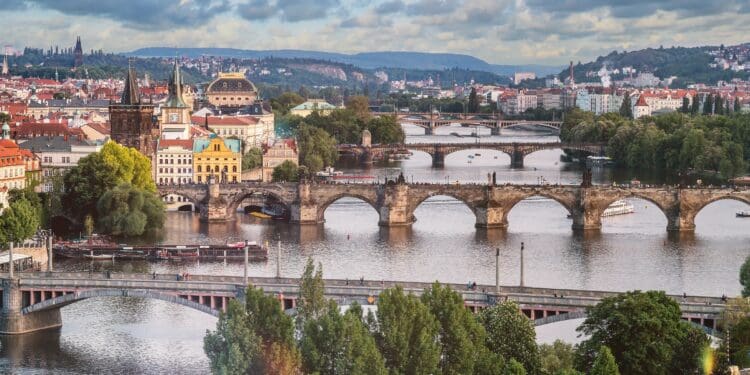 green tree near brown bridge