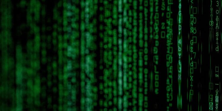 Made with Canon 5d Mark III and loved analog lens, Leica APO Macro Elmarit-R 2.8 / 100mm (Year: 1993)