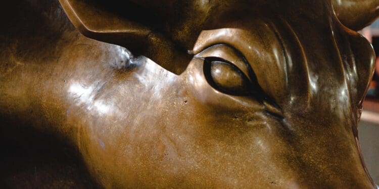 Charging Bull