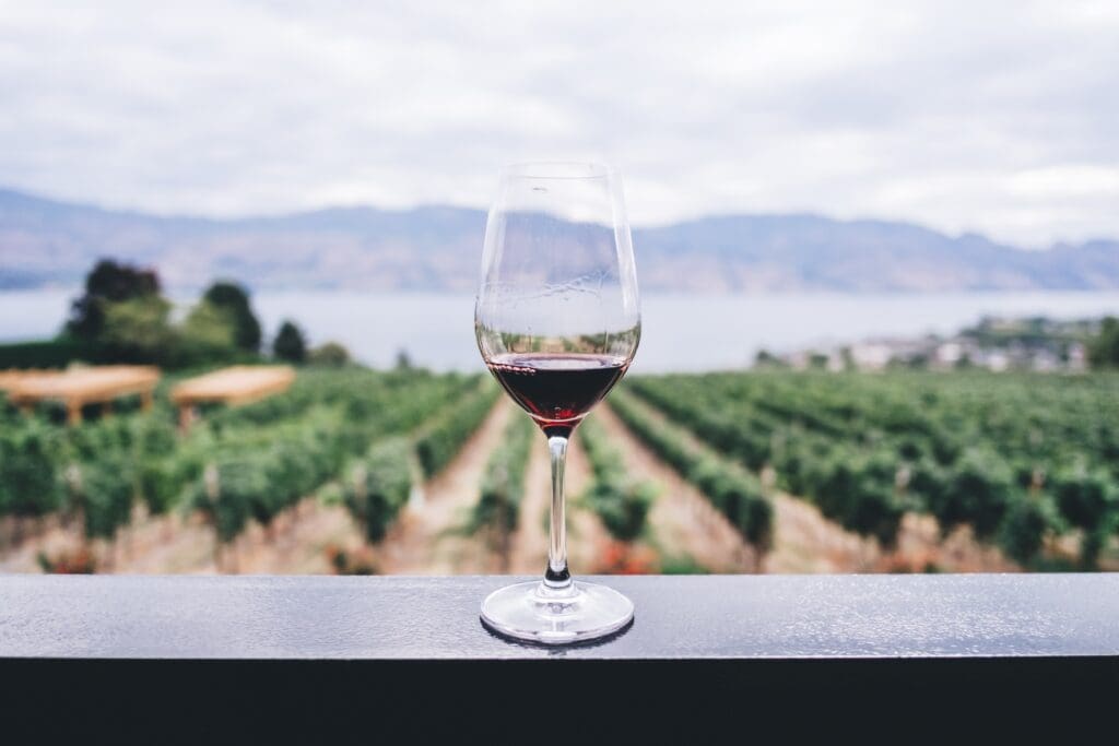 A very educational <noread>(and tasty)</noread> weekend can be had if you explore the wine region of the Okanagen Valley in Canada.